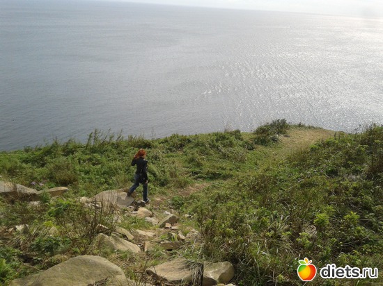 20 ����: �.�������