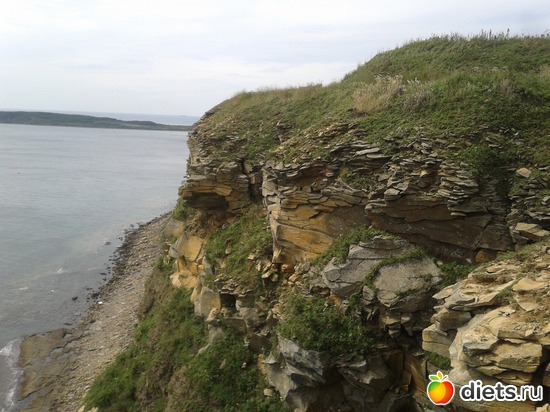 22 ����: �.�������