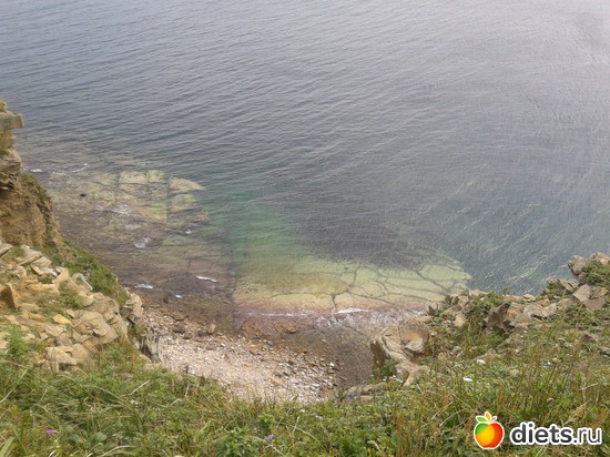 29 ����: �.�������