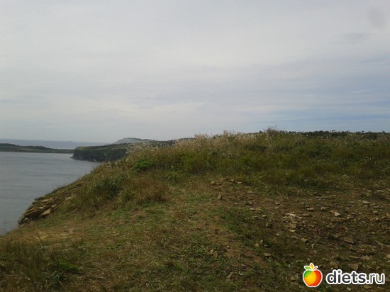 31 ����: �.�������