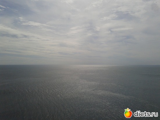 32 ����: �.�������