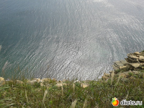 33 ����: �.�������