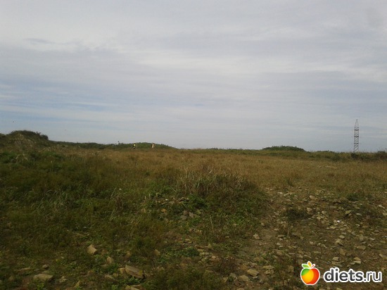 34 ����: �.�������