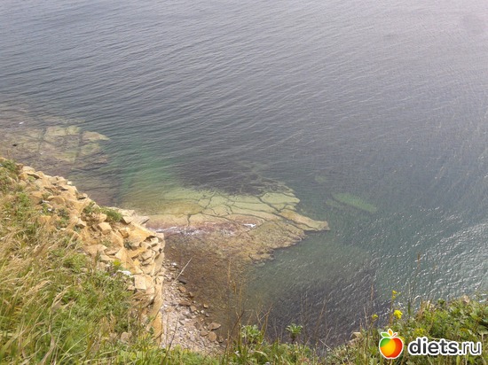 35 ����: �.�������