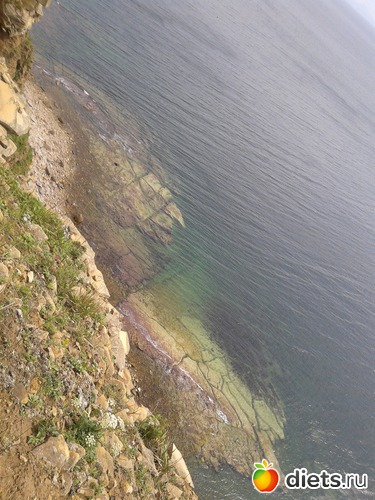 36 ����: �.�������