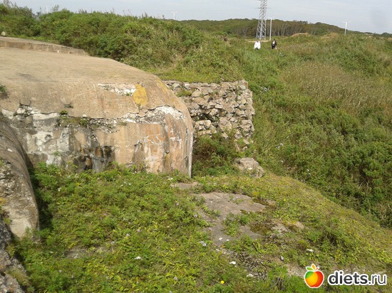 37 ����: �.�������