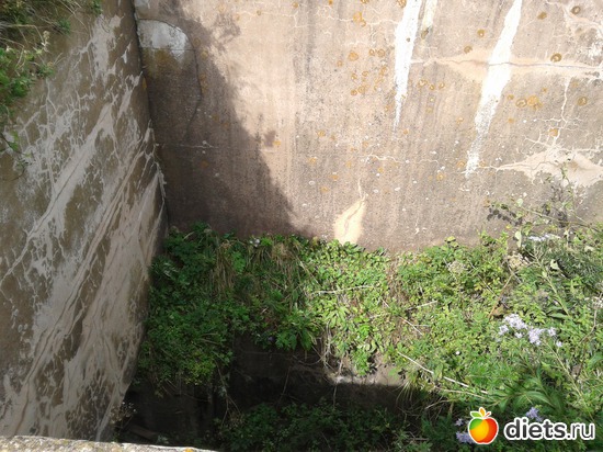 38 ����: �.�������