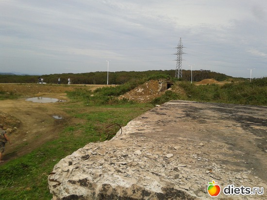 39 ����: �.�������