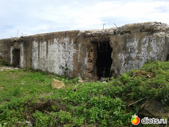 40 ����: �.�������