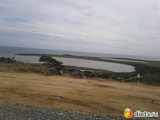 43 ����: �.�������