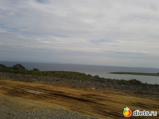 44 ����: �.�������