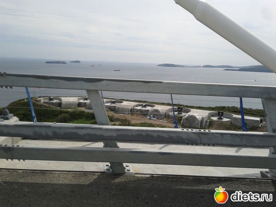 48 ����: �.�������