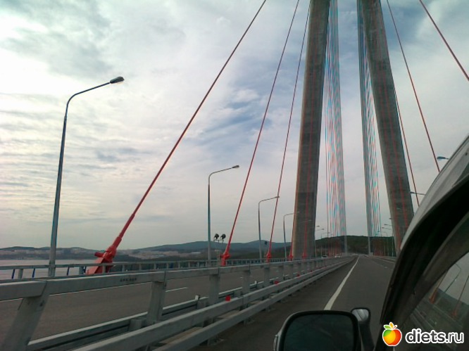 50 ����: �.�������