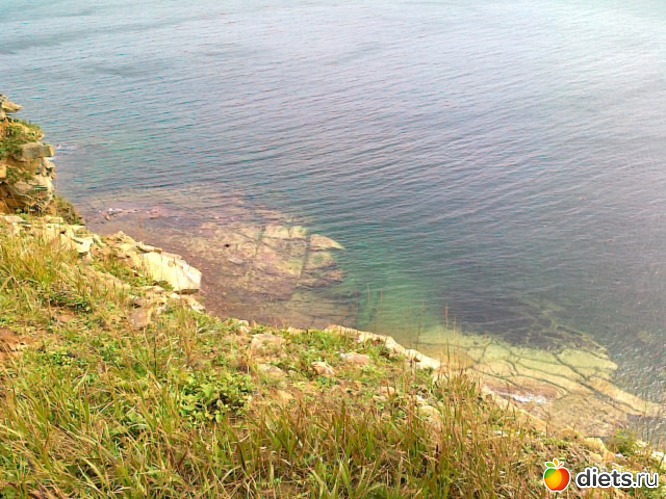 51 ����: �.�������