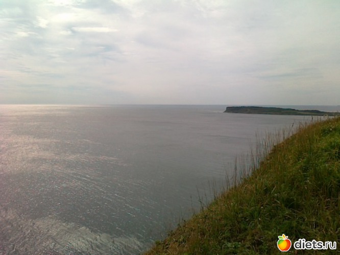 52 ����: �.�������