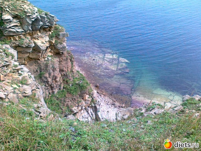 53 ����: �.�������