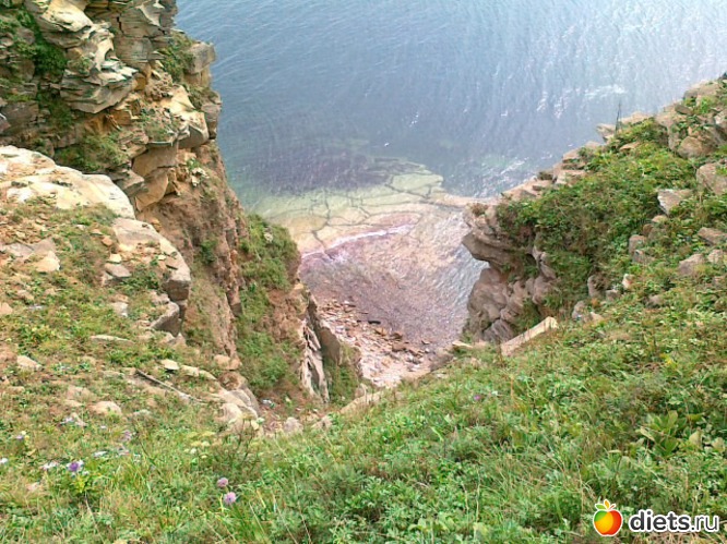 54 ����: �.�������