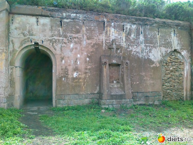 55 ����: �.�������