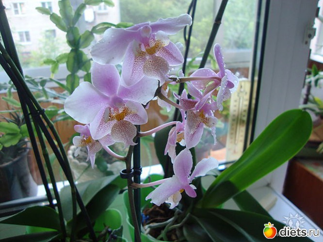 3 ����: ��� ������� �������