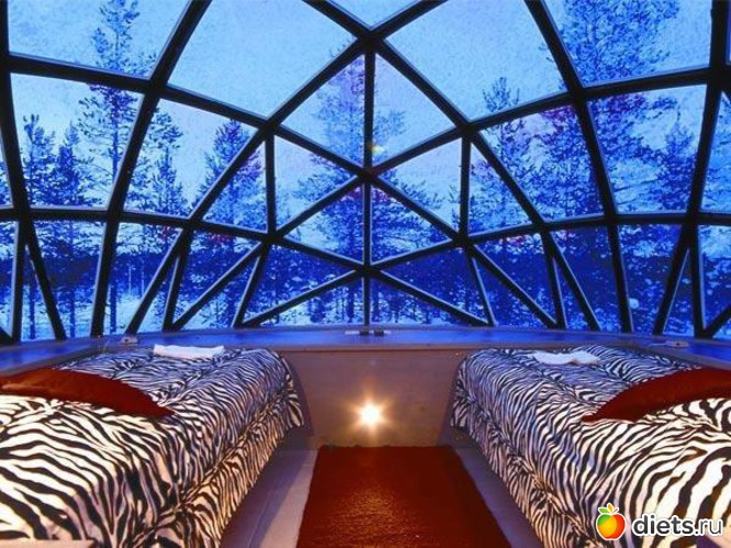 48 ����: �������