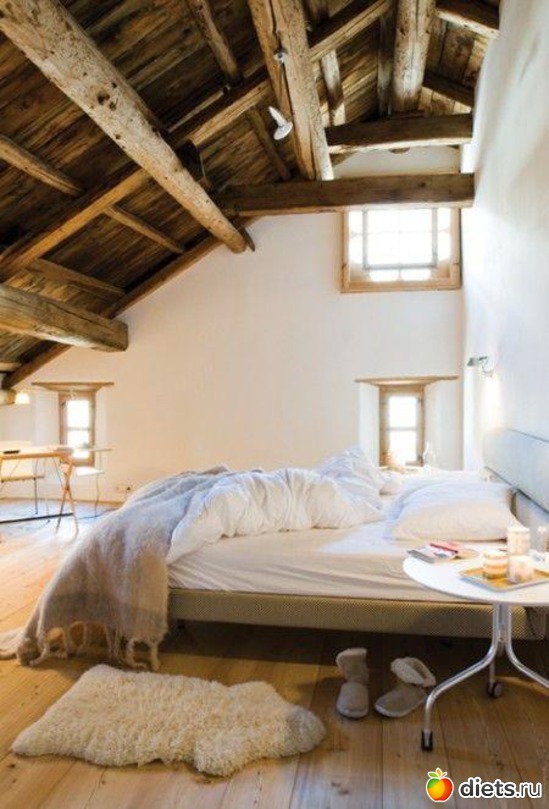 49 ����: �������