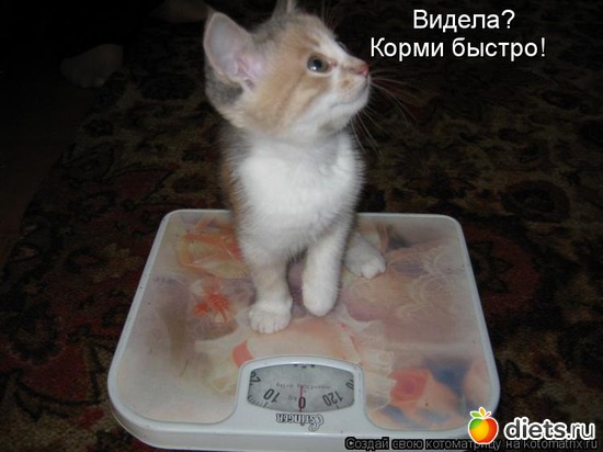 ����� �� ���� ����� ���� �� �����...�� ��)) 00.0 ��� ��), ������: ������� ������