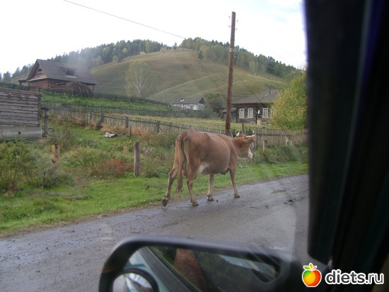  &quot;&quot;, : ...   2012 -  11  16 .