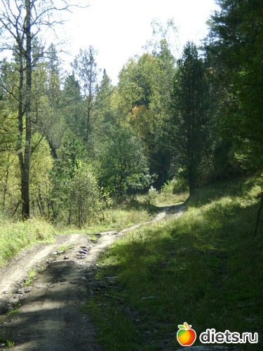    , : ...   2012 -  11  16 .