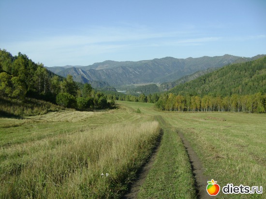  ,  !, : ...   2012 -  11  16 .