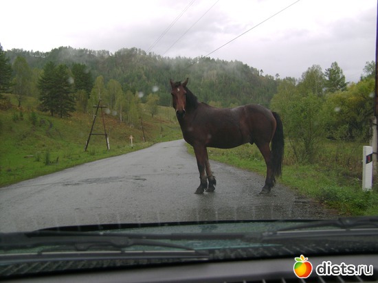 &quot;&quot;, : ...   2012 -  11  16 .