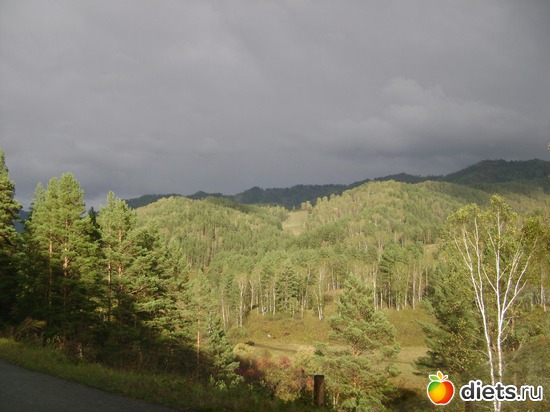  , : ...   2012 -  11  16 .