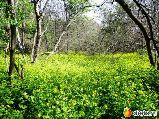 4 ����: ������