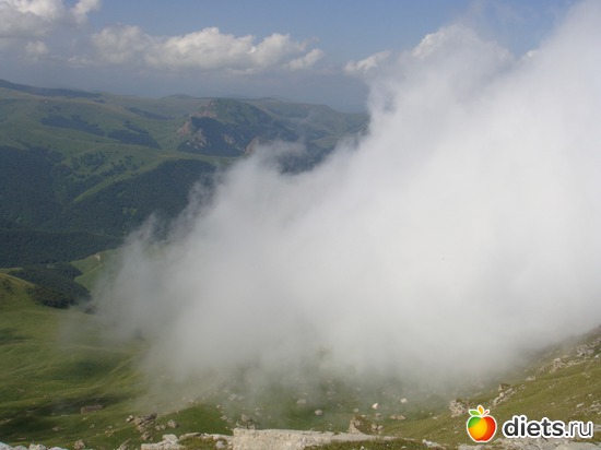 ����� �������, ������: �����, ��������.