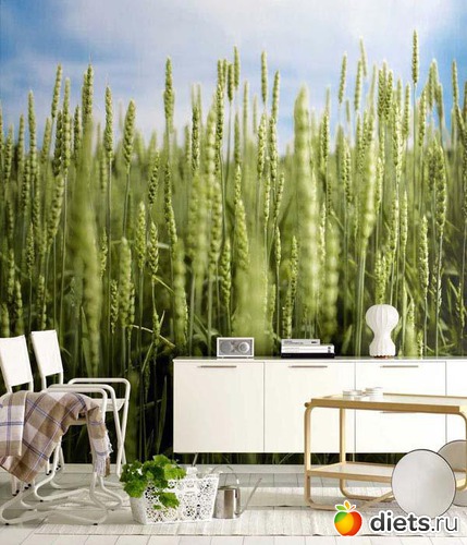 46 ����: ���������