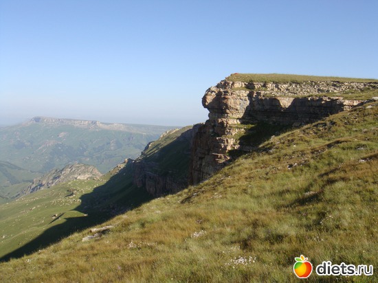 �������, ������: �����, ��������.