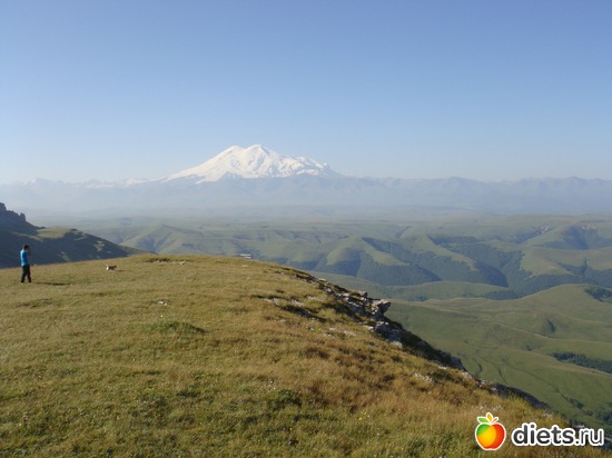 ������� �����..., ������: �����, ��������.