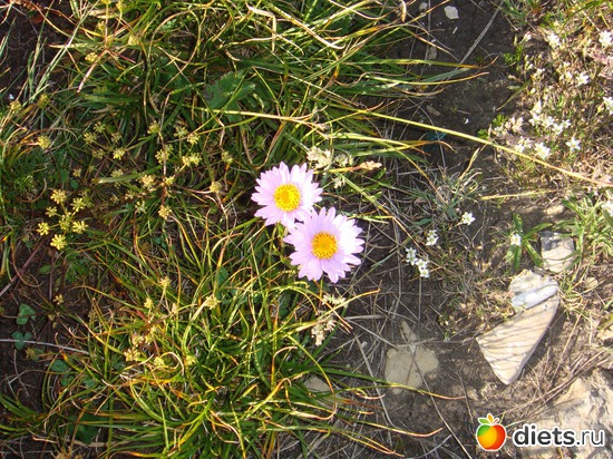 6 ����: �����, ��������.