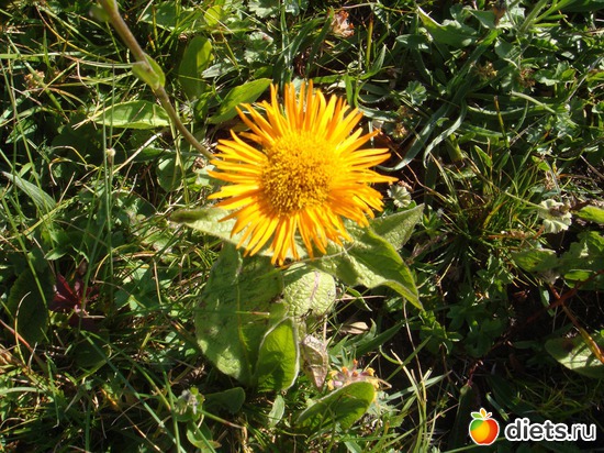 9 ����: �����, ��������.