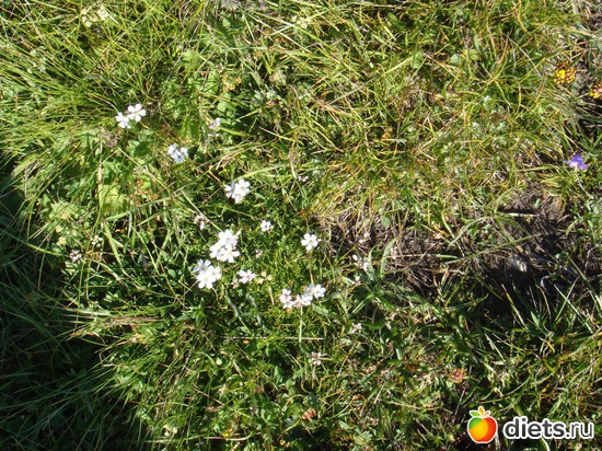 11 ����: �����, ��������.