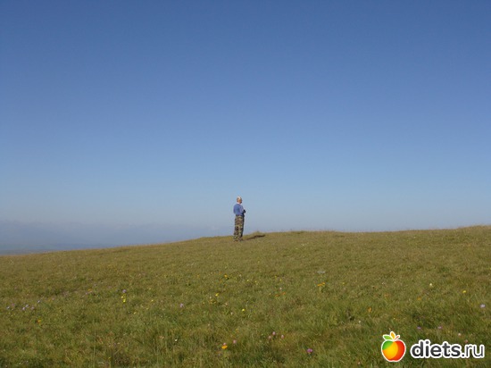 ���� � �������..., ������: �����, ��������.