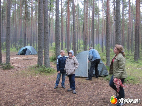 8 ����: ���� ���������