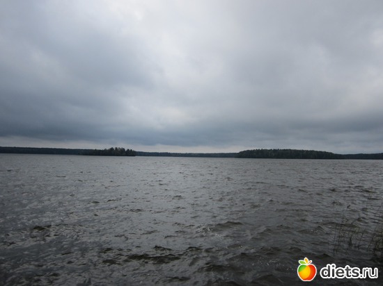 11 ����: ���� ���������