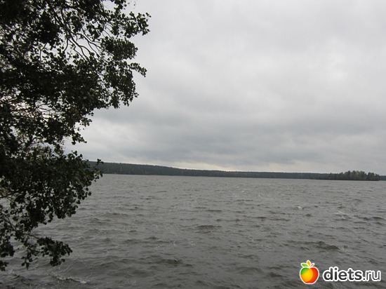 12 ����: ���� ���������