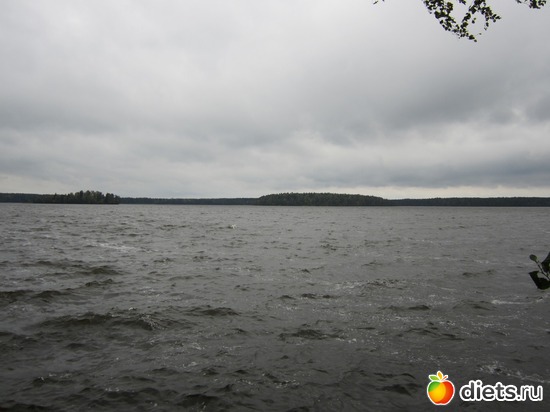 13 ����: ���� ���������