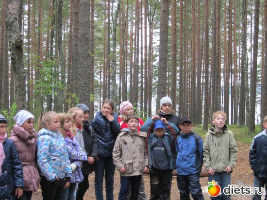 15 ����: ���� ���������