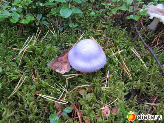 16 ����: ���� ���������