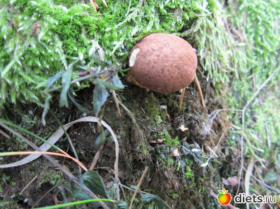 19 ����: ���� ���������