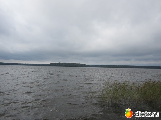 20 ����: ���� ���������