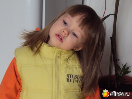 3 ����: ��� �����