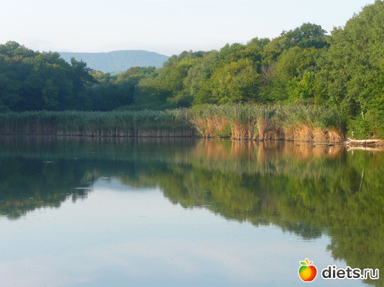 ������ �����, ������: ���� 2012